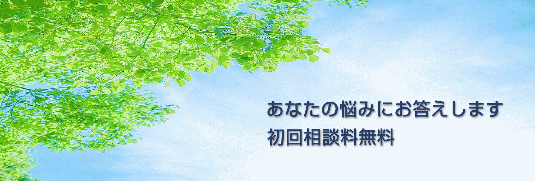 脇島正法律事務所